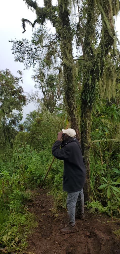 Cultural ExperienceRwanda