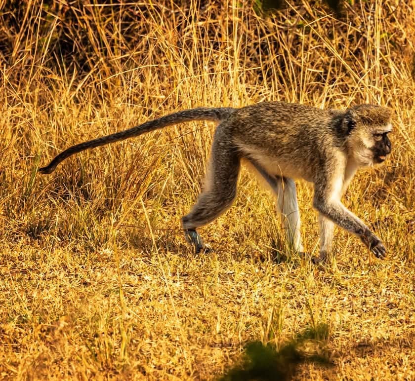 Zenvi Trips Gallery 9