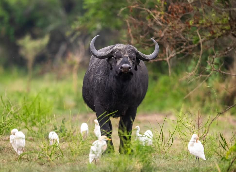 Zenvi Trips Gallery 6